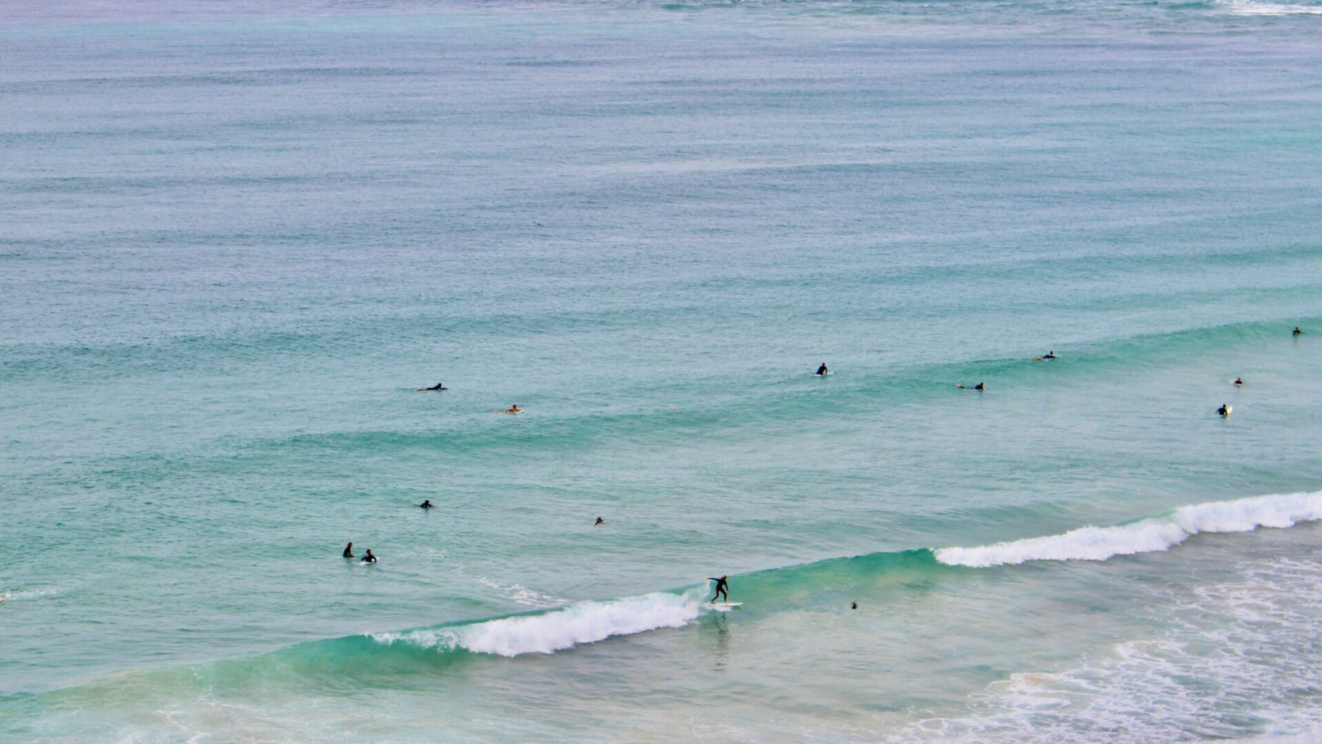 Surfers riding the blue and green waves in the Gold Coast Australia